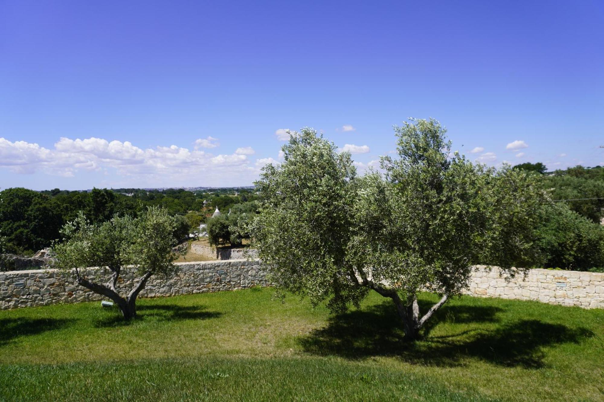 Villa Trullo Amico Cisternino Esterno foto